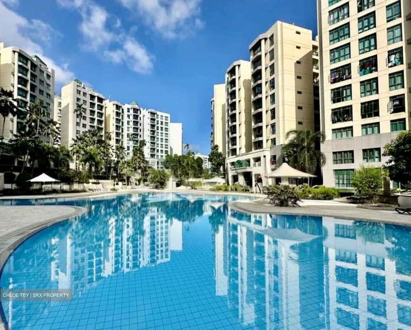 Signature Park (D21), Condominium #542354521